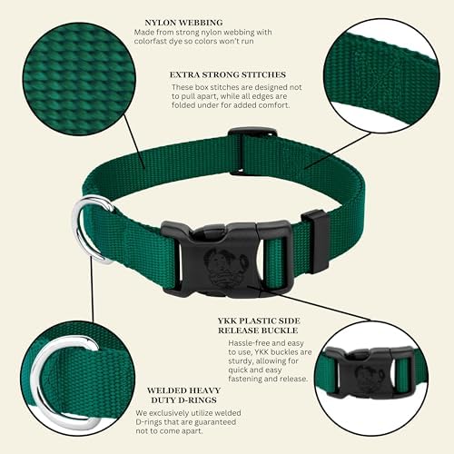 Country Brook Petz - Everyday Nylon Dog Collar for Large, Medium, and Small Dogs and Puppies - for Everyday Use in 30+ Colors (Small, 3/4 Inch Wide, Green)