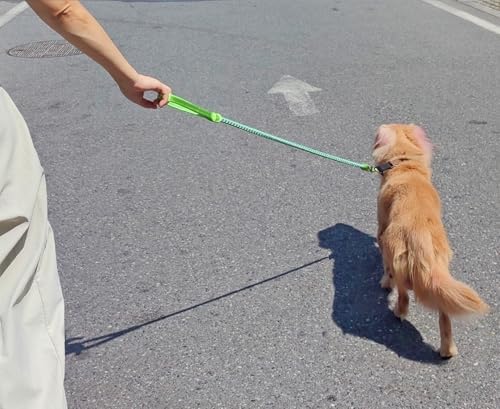 Reflective Dog Leash 2/3/4/6/10ft Braided 1/2" Strong Nylon Rope