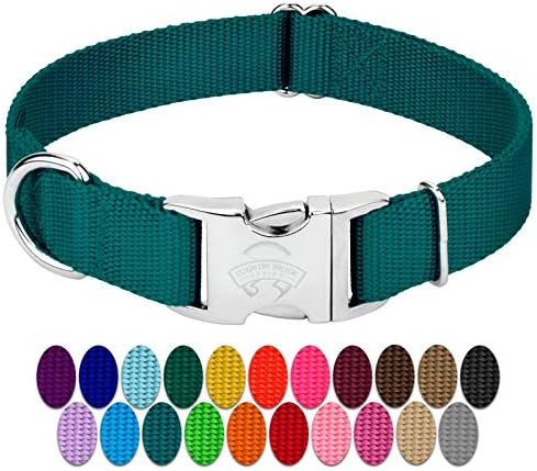 Country Brook Petz - Premium Nylon Dog Collar with Metal Buckle for Small Medium Large Breeds - 30+ Colors (Extra Large, 1 Inch, Teal)