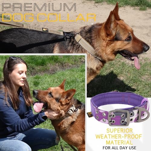 ADITYNA Heavy Duty Purple Dog Collar for Large Dogs with Traffic Handle