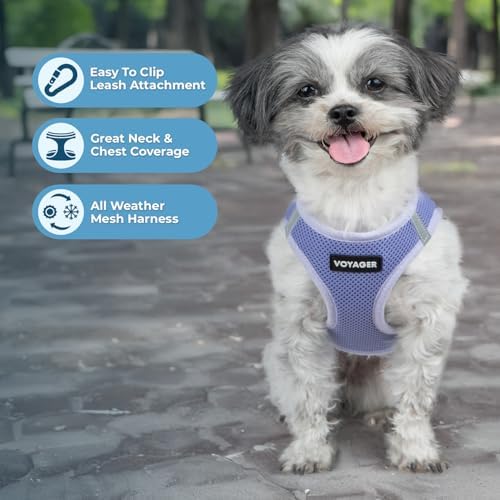 Best Pet Supplies - All Weather Mesh/Plush, Reflective, No Pull Harness for Small, Medium Dogs, Cats - Secure with Hook & Loop Fastener, Buckle, Double D-Rings - Lavender, S
