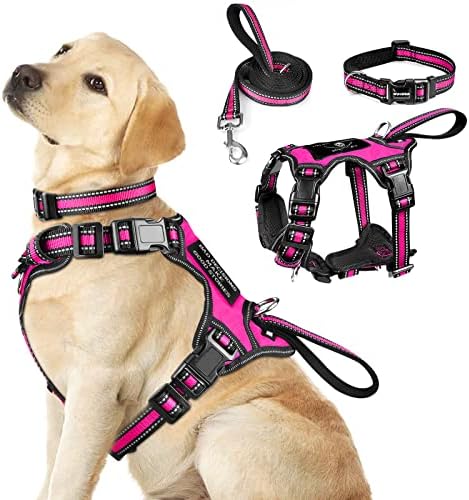WINSEE Pet Harness Collar and Leash Set, All-in-one Reflective Dog Harness No Pull with Adjustable Buckles for Puppies, Small, Medium, Large, and Extra-Large Dogs (Large, Rosy)