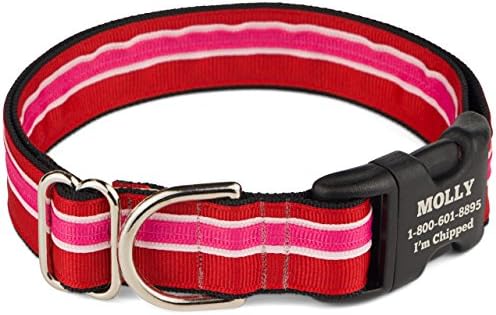If It Barks Personalized 1" Striped Dog Collar - Engraved Name - Custom Size, Shortcake