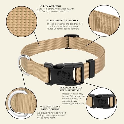 Country Brook Petz - Everyday Nylon Dog Collar for Large, Medium, and Small Dogs and Puppies - for Everyday Use in 30+ Colors (Medium, 3/4 Inch Wide, Copper Gold)