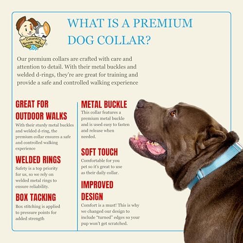 Country Brook Petz - Premium Nylon Dog Collar with Metal Buckle for Small Medium Large Breeds - 30+ Colors (Small, 3/4 Inch, Ocean Blue)