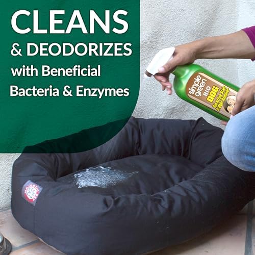 Bio Active Stain & Odor Remover for Pet & Carpet- Pet & People Safe - 32oz Spray