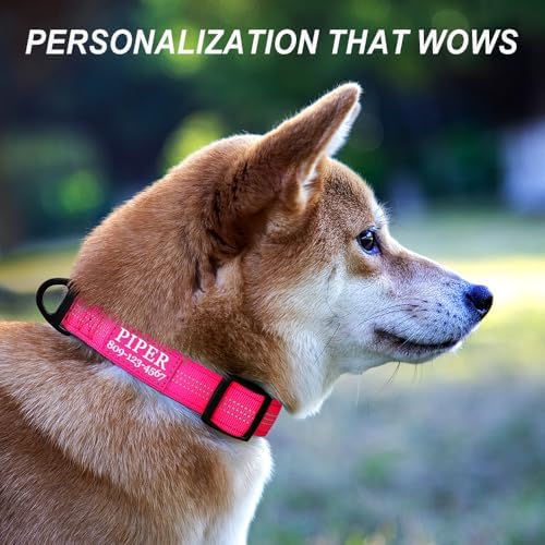 Personalized Dog Collars with Name and Phone Number, Durable Metal Buckle, Soft Neoprene Padded Reflective Nylon Collar for Large Medium and Small Dogs (Classic Version)