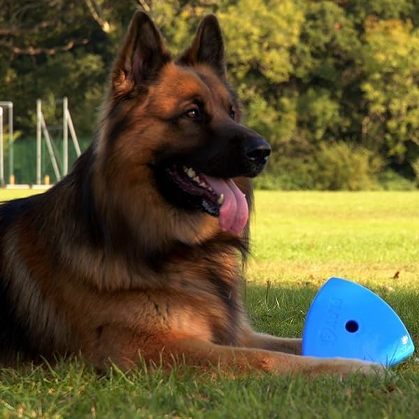 Roolo - Dog Treat Dispenser Toy (Blue), Teething Toys for All Breeds