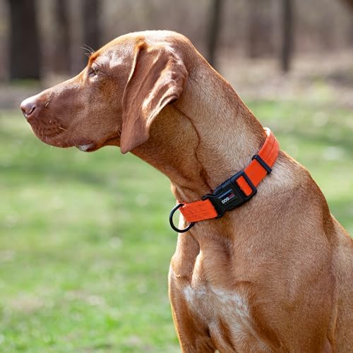 Dogline Orange Nylon Collar (W: 5/8" L: 11"-16")