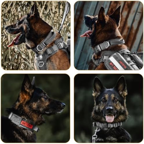 OneTigris Heavy Duty Dog Collar for Medium Dogs with Traffic Handle Gray M