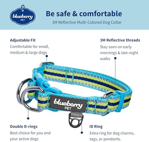 Blueberry Pet Safety Dog Collar with Dual D-Rings | 3M Reflective Multi-Colored Adjustable Collar in Blue and Yellow | Soft Nylon Dog Collar for Active Small Dogs