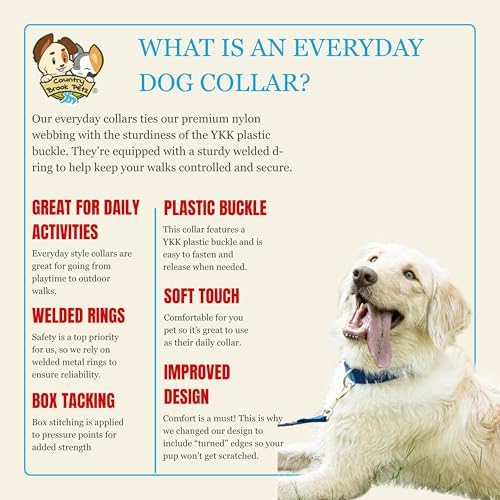 Country Brook Petz - Everyday Nylon Dog Collar for Large, Medium, and Small Dogs and Puppies - for Everyday Use in 30+ Colors (Small, 3/4 Inch Wide, Royal Blue)