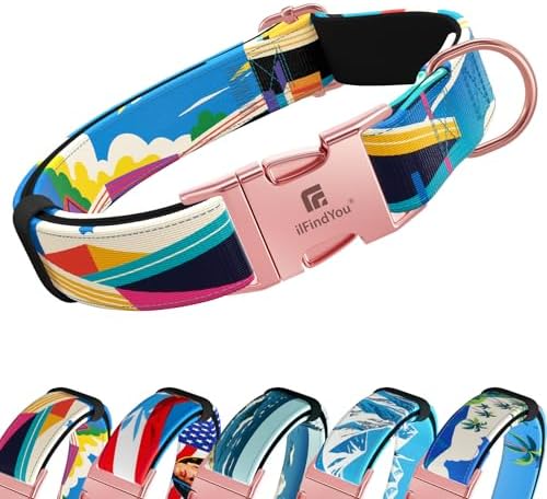 Reflective Dog Collar for Large Dogs, Artistic Design Detroit-L