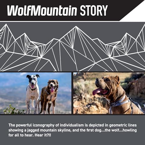 Wolfgang Heavy Duty, Adjustable Dog Collar with Quick Release Nylon Buckle for Walking & Training, WolfMountain Print, Small