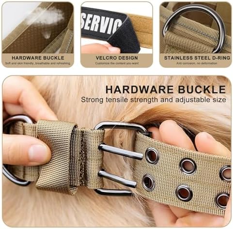 Tactical Dog Collar with Name Patches, Desert Camo: L