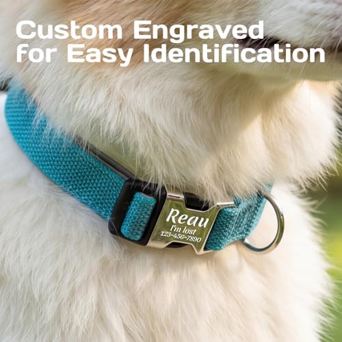 Personalized Dog Collars with Name and Phone