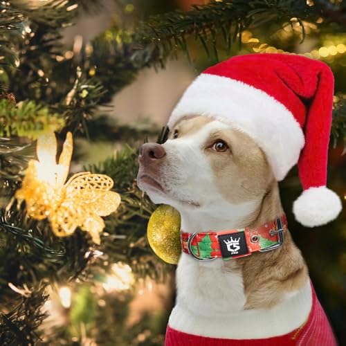 TSPRO Heavy Duty Thick Dog Collar with Metal Buckle for Large Dogs