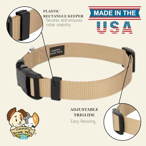 Country Brook Petz - Everyday Nylon Dog Collar for Large, Medium, and Small Dogs and Puppies - for Everyday Use in 30+ Colors (Medium, 3/4 Inch Wide, Copper Gold)