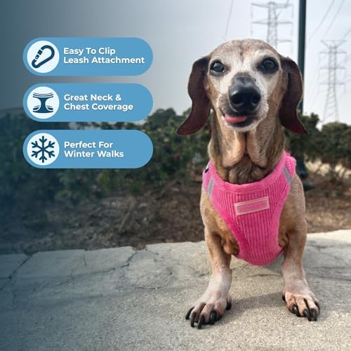 Voyager Step-in Plush Dog Vest Harness -Fuchsia Corduroy, Medium