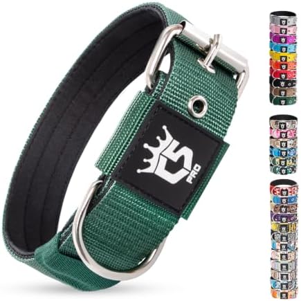 TSPRO Heavy Duty Thick Dog Collar with Metal Buckle for Medium Dogs