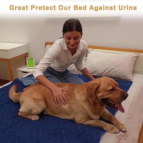 2Pack Dog Pads Washable 53”x65”,Pee Pads Waterproof,Anti Skid for Whelping Training
