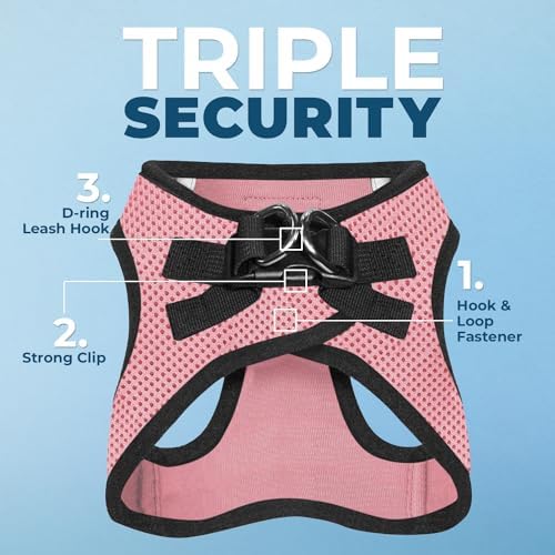 Best Pet Supplies Voyager Step-in Air All Weather Mesh Harness and Reflective Dog 5ft Leash Combo with Neoprene Handle, for Small, Medium and Large Breed Puppies - Pink Base, Large
