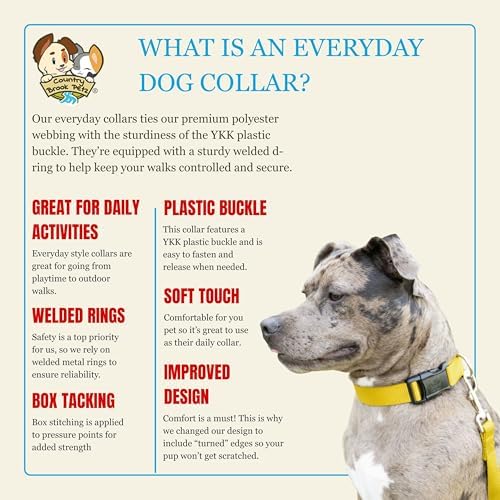 Country Brook Petz - Everyday Nylon Dog Collar for Large, Medium, and Small Dogs and Puppies - for Everyday Use in 30+ Colors (Extra Small, 3/8 Inch Wide, Yellow)