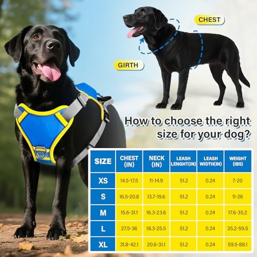 No Pull Dog Harness, 2 in 1 Retractable Harness with Auto-Lock, Reflective Breathable Mesh and Handle, Adjustable Leash Set for Small, Medium,Large Dogs,Cats (Color 2, L)