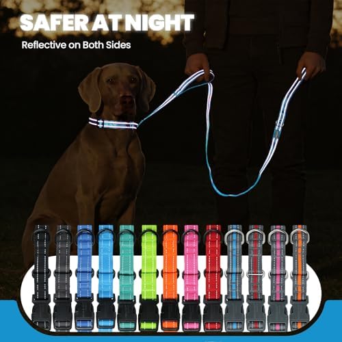 VIVAGLORY Double Handle Dog Leash Twingrip, 5ft x 1in, S, Blue