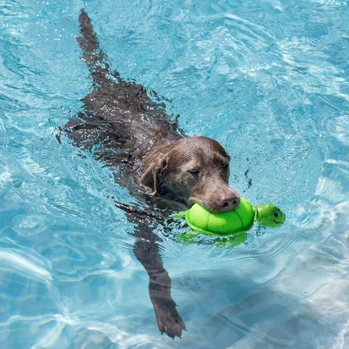 Fringe Studio Snappy Floating Dog Toys, Pet Shop Collection (640008)
