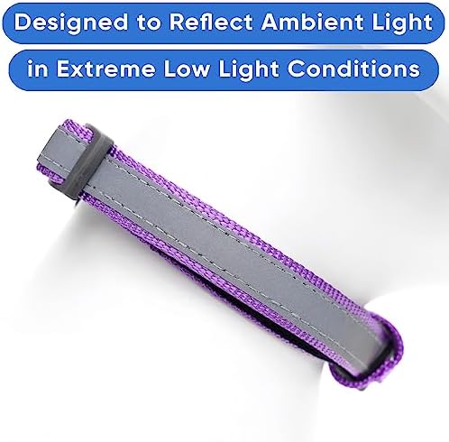 Pawtitas Personalized Dog Collar Reflective Dog Collar Padded Dog Collar with Name Phone Number Puppy Collar Adjustable Customized Collar for Medium Dogs Breeds | Customized Orchid Medium Dog Collar