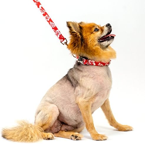 Country Brook Petz - Red Hawaiian Everyday Dog Leash - Summer Breeze Collection Featuring Sunny Designs (4 Foot, 1/2 Inch Wide)