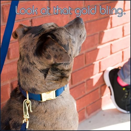 Country Brook Petz - Premium Nylon Dog Collar with Metal Buckle for Small Medium Large Breeds - 30+ Colors (Large, 1 Inch, Navy Blue)