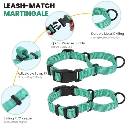 VIVAGLORY Double Handle Dog Leash Twingrip, 5ft x 1in, L, Turquoise