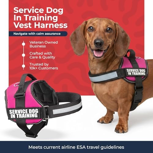 Industrial Puppy Service Dog in Training Vest Harness, XS 16.5-21.5 in Pink