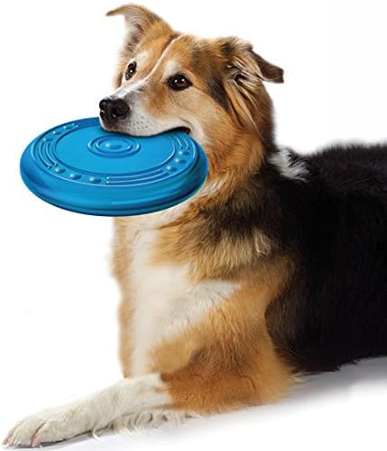 The Dogs Company Flyer Rubber Dog Toy, Dog Frisbee, 9 Inches, Assorted