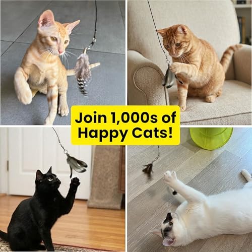 Cat Feather Toy Refill 3-Pack, Natural Feather Cat Toys for Kittens & Bored Indoor Cats, Small Cat Wand Attachments, Feather Replacement for Forever Stick Cat Wand, Cat Wand Refill