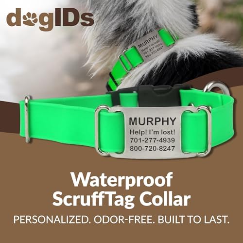dogIDs Personalized Quick Release Waterprooft ScruffTag Dog Collar - Built-in Custom Laser Engraved Nameplate, Odor Resistant - Green, 5/8 in x 9-11.5 in (Fits Neck Sizes: 9-11.5 in)