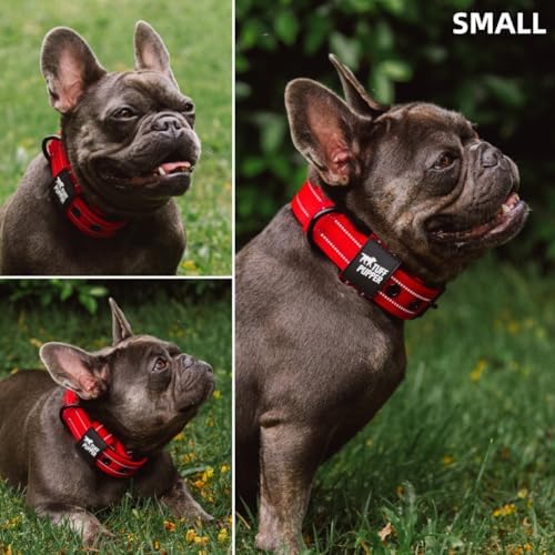 Tuff Pupper Heavy Duty Tactical Dog Collar | 1.25" Wide Ballistic Nylon | Reflective Stitching | Integrated ID Tag Holder | Stainless Steel Buckle | Padded Lining | Small & Medium Dogs (Red, Small)