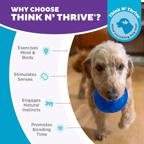 Outward Hound Lil' Snoop Interactive Treat Dispensing Dog Toy, Blue, 3.9"