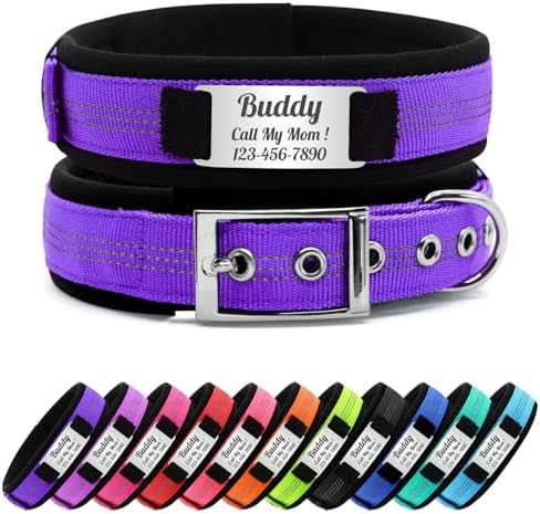 Personalized Nylon Dog Collar with Name Tag (Purple, L)