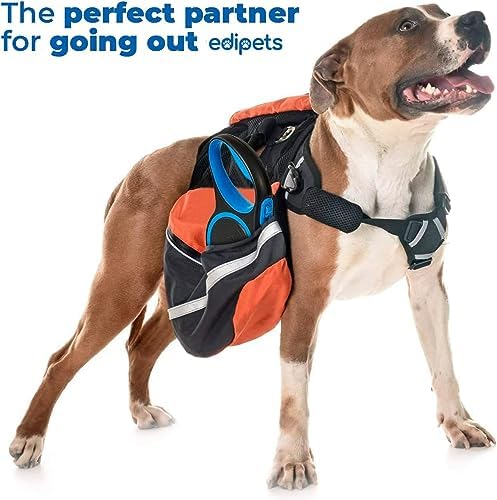 Extendable Retractable Dog Leash, 3, 5 and 8 Metres, Flexible Tape for Training and Walking, Safe and with Brake, Design and Comfortable Grip (Blue, 5 Metres <50 kg)