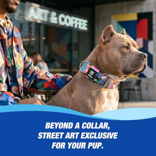 TSPRO Heavy Duty Thick Dog Collar with Metal Buckle for Medium Dogs