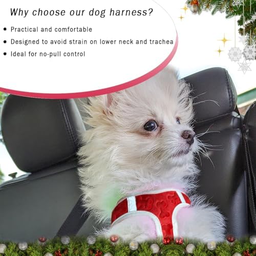 Comfort Fit Step-in Dog Harness All-Weather Dog & Puppy Harness Adjustable Extra Comfort Soft Padded No-Pull Vest for Small Medium Dogs Easy to Put On Secure Buckle Fit (Plush Both Side Velvet)