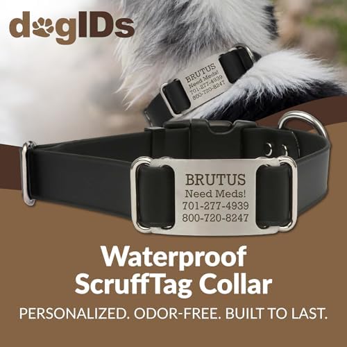 dogIDs Personalized Quick Release Waterprooft ScruffTag Dog Collar - Built-in Custom Laser Engraved Nameplate, Odor Resistant - Black, 1 in x 16-23 in (Fits Neck Sizes: 16-23 in)