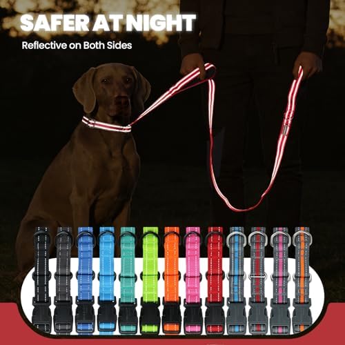 VIVAGLORY Double Handle Dog Leash Twingrip, 5ft x 1in, M, Red