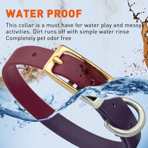 Viper Biothane Heavy Duty Waterproof Dog Collar Strong Coated Nylon Webbing w/Solid Brass Hardware Odor-Proof Easy to Clean High Performance Fits Small Medium or Large Dogs, Merlot Burgundy