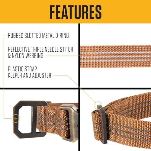 Carhartt Fully Adjustable Nylon Webbing Collars for Dogs, Reflective Stitching for Visibility, Black (Nylon Webbing), Medium