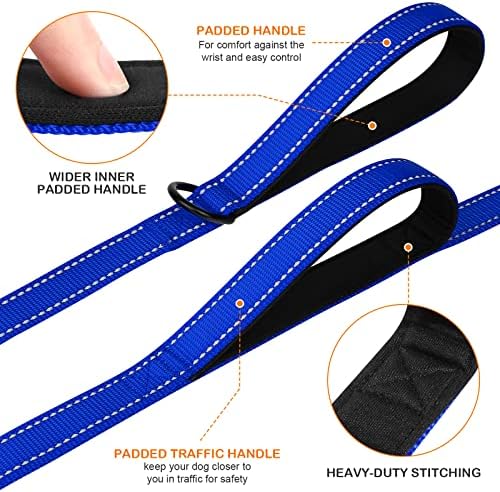 Joytale Dog Leash for Large Dogs that Pull, Double Handle, 6FT, Royal Blue