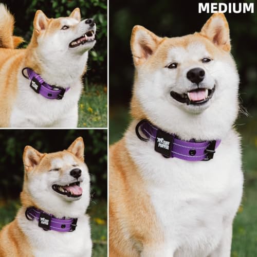 Tuff Pupper Heavy Duty Tactical Dog Collar | 1.5" Wide Ballistic Nylon | Reflective Stitching | Integrated ID Tag Holder | Stainless Steel Buckle | Padded Lining | Medium & Large Dogs (Purple, Medium)